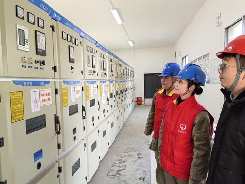 24小時(shí)聯(lián)動(dòng)雙保險(xiǎn)，保障萬名師生用電無憂的家庭服務(wù)