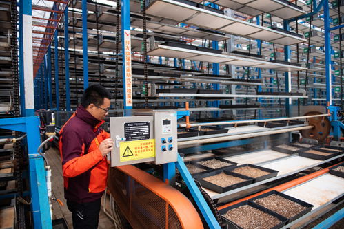 圖文互動(dòng) 保姆式服務(wù) 智能化工廠 連片化土地 水稻大省湖南春耕一線觀察